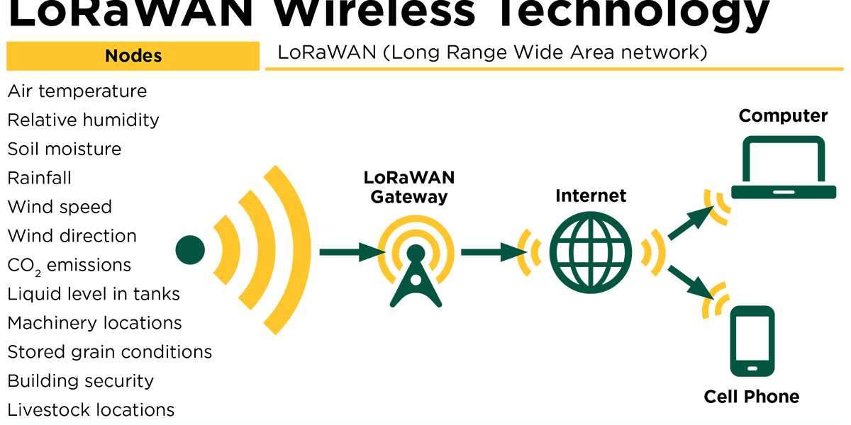 LoRa and LoRaWAN IoT Market Growing Popularity and Emerging Trends to 2032