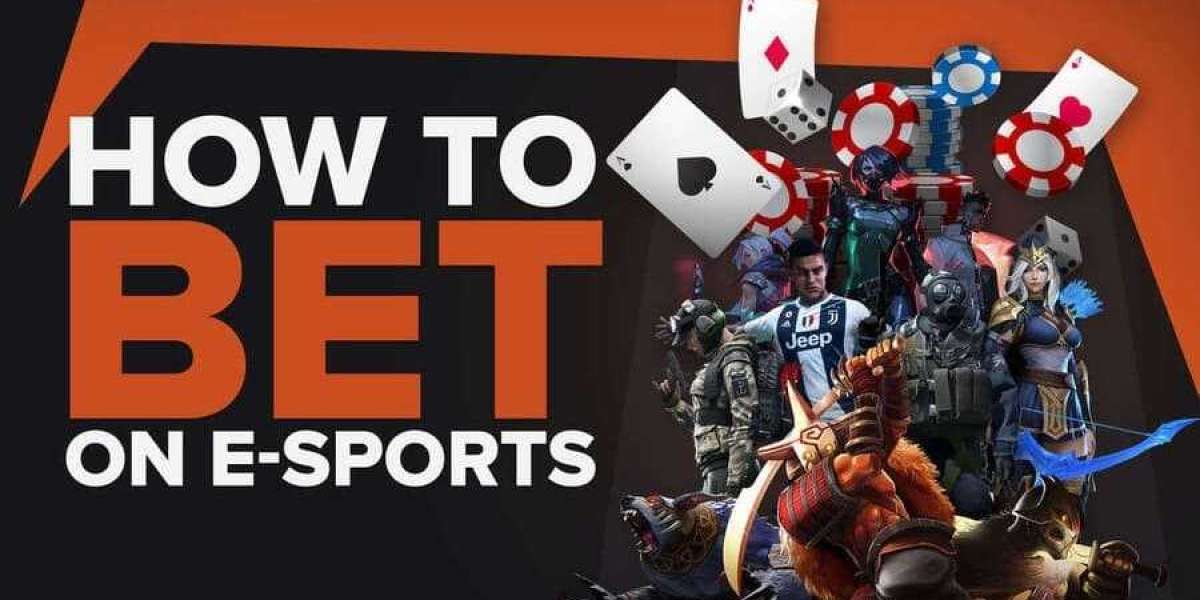 Bet Your Bottom Dollar: The Thrill and Strategy of Sports Betting