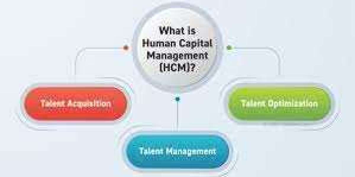 Market Forecast for Human Capital Management Software: 2024-2032