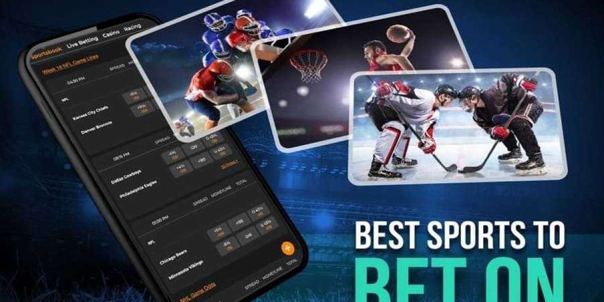 Unveiling Korean Sports Gambling Sites