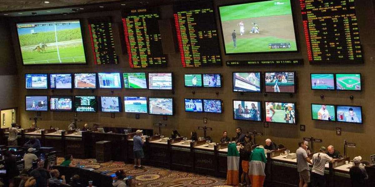 Your Ultimate Guide to Sports Gambling Sites