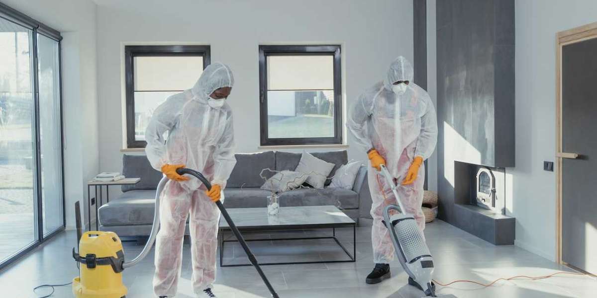 The Art of Improving Home Appearance Through Carpet Cleaning