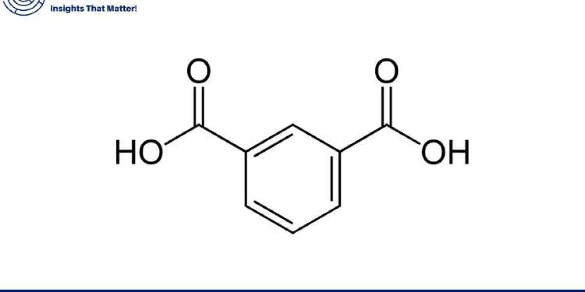 Isophthalic Acid Price Trend: Comprehensive Market Insights and Analysis for 2024