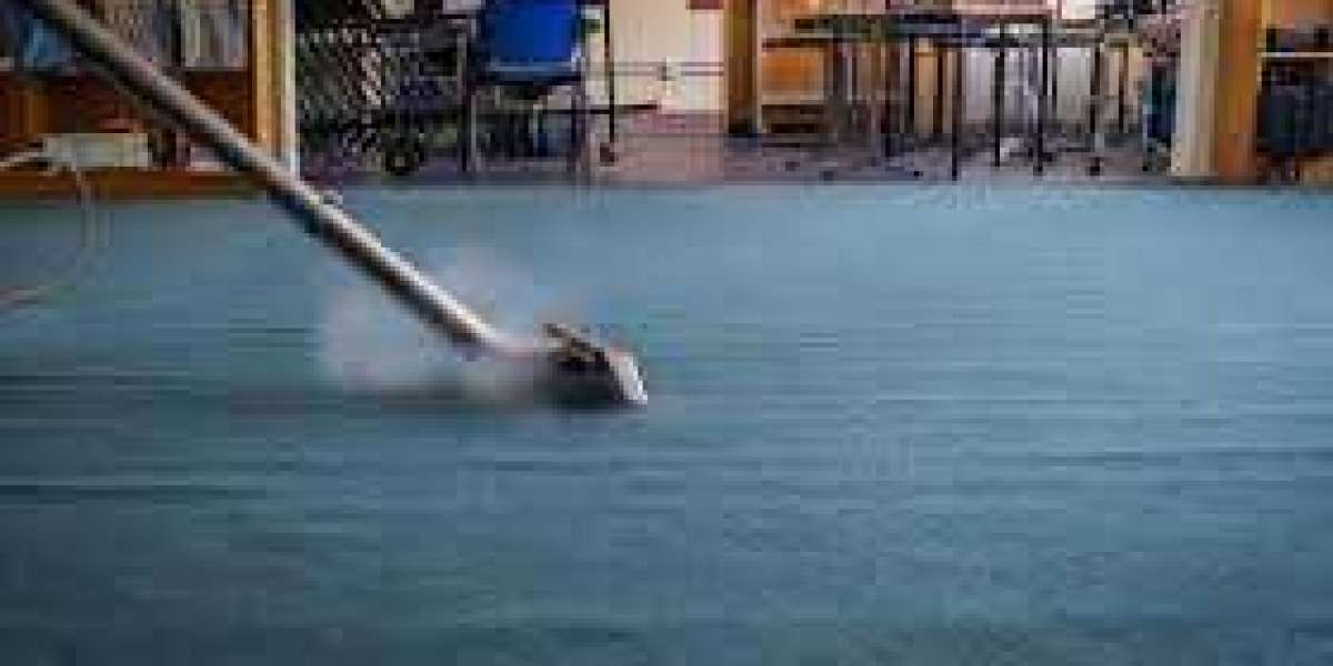 Professional Carpet Cleaning: Essential for Home Allergy Prevention