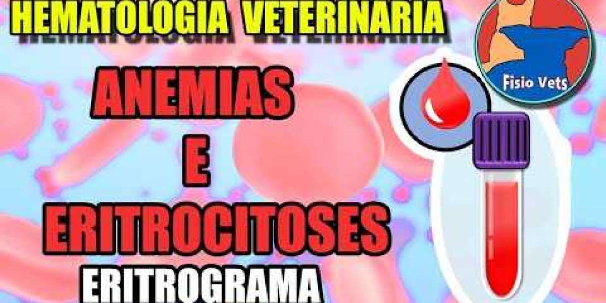 O verdadeiro custo do RX para o seu cachorro: vale a pena investir?