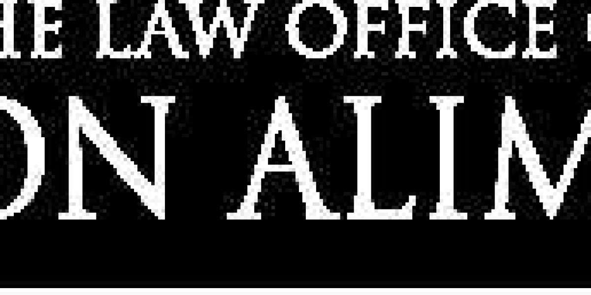 Damon Alimouri: Expert Criminal Defense Lawyer in Los Angeles"