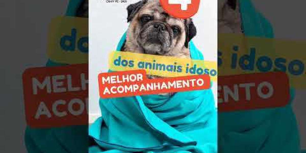 Aliviando a Ansiedade do Seu Cachorro: Técnicas Eficazes para Reduzir a Pressão Emocional